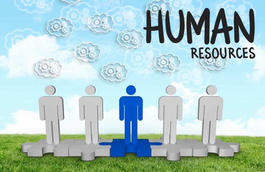 Mengoptimalkan Potensi Manusia: Kunci Keberhasilan Human Resource Management